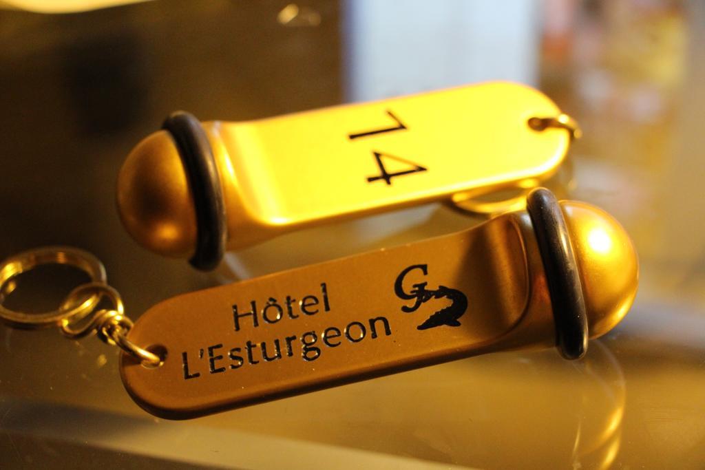 Hotel L'Esturgeon Poissy Exteriér fotografie
